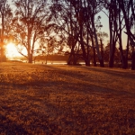 sn141102l_hideandseek_371